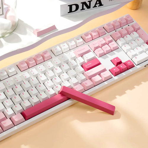 Akko 3108RF Mechanical Keyboard 100% Full Size RGB Cherry/MOA Profile Keycaps 2.4GHz & Wired Dual-mode Keyboard for Office Game